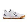 Schuhe Puma Solarflash Ii pánská sálová albov eu 40,5 Produktbild-Vorschau 12