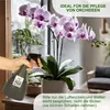 MePla - Set - Gießkanne 3,0l Indoor + Sprüher 1,0l - Produktbild-Vorschau 7