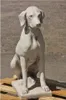 Schöner Hund aus Steinguss perfekt für den Garten die Produktbild-Vorschau 5