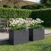 vidaXL Jardinières pour plantes, lot de 2, anthracite, 60 x Voir les images du produit 2