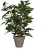 Mica Decorations Ficus Natasja Kunstpflanze im Blumentopf Produktbild-Vorschau 1