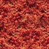 NutriBird Treats Gold Patee Red Fusion - 250 g Produktbild-Vorschau 2