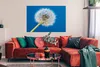 MuchoWow® Poster Löwenzahn - Blume - Terrasse 120x90 cm - Produktbild-Vorschau 2