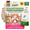 Schlupfwespen gegen Lebensmittelmotten, 15 Karten x 3 Produktbild-Vorschau 1