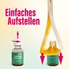 inseko 1x Fruchtfliegen Falle I effektive Obstfliegenfalle Produktbild-Vorschau 5