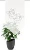 Fensterbehang SYLIA,  Schmetterling, Dreiecksabschlus Produktbild-Vorschau 1