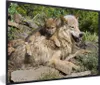 MuchoWow® MuchoWow® Gerahmtes Poster Wolf - Jungtier - Tier Produktbild-Vorschau 1