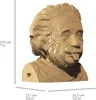 Cartonic 3D puzzle Albert Einstein, busta, kartonová 3D Náhled obrázku produktu 10
