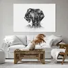Bild auf Leinwand - Leinwandbild - Bär Tier - 120x80cm - Produktbild-Vorschau 6