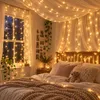 30M 300LEDs 8 Modi Lichterkette Strom, Timer, Merkfunktion, Produktbild-Vorschau 12