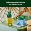 LEGO Botanicals Vrolijke Planten - Speelgoed voor kinderen Productafbeelding-voorbeeld 24