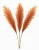 LAYBA Künstliches Pampasgras 3er-Set Orange 100 cm, 18 Produktbild-Vorschau 1