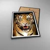 Gerahmtes Poster - Schwarzer Rahmen - tiger tier - 70x100 Produktbild-Vorschau 3