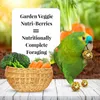 Lafeber NutriBerries Garden Veggie - Nourriture végétale en Voir les images du produit 2