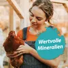 IdaPlus Mineral Grit Mix 5kg Produktbild-Vorschau 10