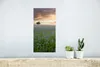 MuchoWow® Poster Sonnenuntergang - Blumen - Farben 20x40 cm Produktbild-Vorschau 5