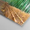Bilder auf glas - Einteilig - Bambus Pflanze - 70x100cm - Produktbild-Vorschau 5