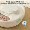 Katzen-Futterautomat mit Kühlfunktion | UBpet F21 Produktbild-Vorschau 5