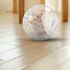 Relaxdays Palla per criceti, Ø 18,5 cm, palla da corsa per Anteprima dell’immagine prodotto 2