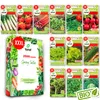 Toraf semená zeleniny XXL set 2500 semien 12 druhov šalát Náhľad obrázku produktu 1