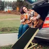 ACXIN Hunderampe 100cm Hundetreppe Auto Klappbar Produktbild-Vorschau 8