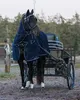 Geschirr-Fliegendecke mit Halsteil Blau 125 Produktbild-Vorschau 2