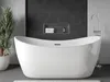 A modern bathroom with a freestanding bathtub, a plant, and dark tiled walls. Náhled obrázku produktu