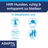 Adaptil Calm Nachfüllflakon Vorteilspack.f.Hunde 3X48 ml Produktbild-Vorschau 4