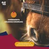 Vitar Veterinae ArtiVit Pegas Forte 7 - Bardzo silna Podgląd zdjęcia produktu 6