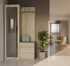 A hallway or entryway with a wardrobe and mirror unit, a plant, and a glimpse into a living room. Produktbild-Vorschau