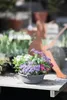 Geli Pflanzschale Jessica Ø 50 cm anthrazit Produktbild-Vorschau 2