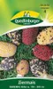 Ziermais, Harlekin Produktbild-Vorschau 5