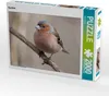CALVENDO Puzzle Buchfink 2000 Teile Puzzle quer | 2000 Produktbild-Vorschau 1