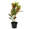 Künstliche Bume im Topf, Gummibaum 58 cm Produktbild-Vorschau 2