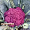 Samenliebe  Blumenkohl Samen | Di Sicilia Violetto - Produktbild-Vorschau 4
