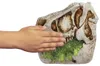 Gross Moss Flying Dino grigio521549 521556 Anteprima dell’immagine prodotto 6