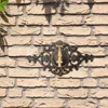 A decorative antique-style garden faucet mounted on a brick wall. Voir les images du produit