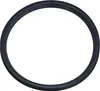 Geberit GE, Lippendichtung, EPDM, d40mm, 1 Stk. Produktbild-Vorschau 1