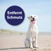 Canosept Ohrpflege Pads für Hunde 50 Stück Voir les images du produit 5