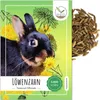 Löwenzahn Samen für Kaninchen - Wildkräuter Saatgut als Produktbild-Vorschau 1