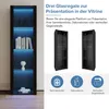 Černá, lesklá vitrína s LED osvětlením, rozměry 55 x 38 x Náhled obrázku produktu 9