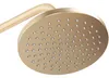 A close-up view of a gold-colored shower head. Náhľad obrázku produktu