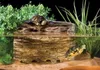 Exo Terra Turtle Cliff - Large, Rock, 1 Stück(e), 370 mm, Produktbild-Vorschau 3
