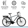 Zündapp Z802 E Bike 28 Zoll Trekkingrad grau/grün Produktbild-Vorschau 3