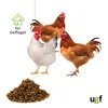 UGF Getrocknete Grillen 400g (3L) Eimer, Insektenfutter, Produktbild-Vorschau 4