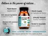DR WAKDE'S Bhringraj Capsules (False Daisy | Eclipta alba) Voir les images du produit 24