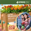 Strend Pro Zahradní záhon, 84x40x98 cm, dřevo, vyvýšený Náhled obrázku produktu 7