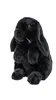 Uni-Toys - Widderkaninchen schwarz - 19 cm (Höhe) - Produktbild-Vorschau 3
