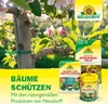An advertisement for Neudorff tree protection products, featuring an apple tree in bloom and several product packages. Produktbild-Vorschau
