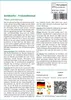 SAFLAX - Goldkiefer - Pinus ponderosa - 20 Samen Produktbild-Vorschau 3